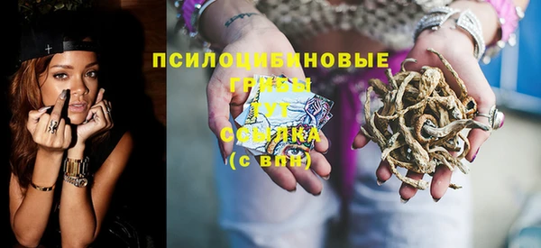 дурь Алексин