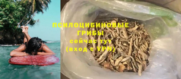 дурь Алексин