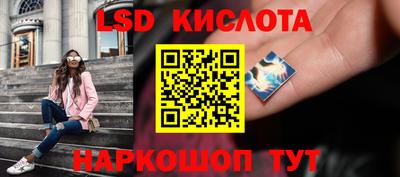 крисы Кулебаки