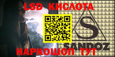 крисы Кулебаки