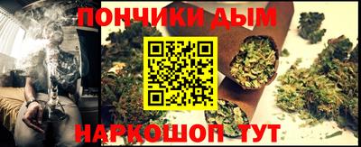 крисы Кулебаки