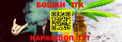 крисы Кулебаки