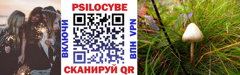 Псилоцибиновые грибы Psilocybine cubensis  где продают наркотики  Вологда 