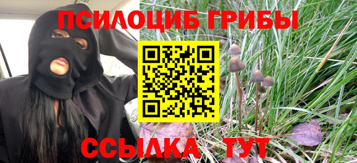 Псилоцибиновые грибы MAGIC MUSHROOMS Вологда