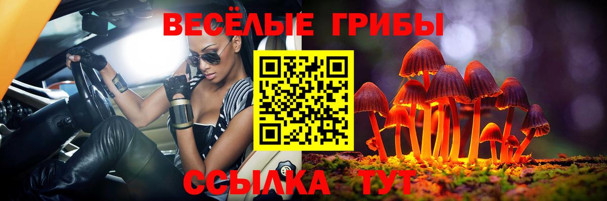 Псилоцибиновые грибы Cubensis  Вход с VPN  Псилоцибиновые грибы Cubensis  Вологда 